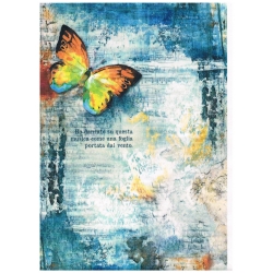 Papier ryżowy Ciao Bella A4 21*29,7cm CBRP015   motyl , niebieskie